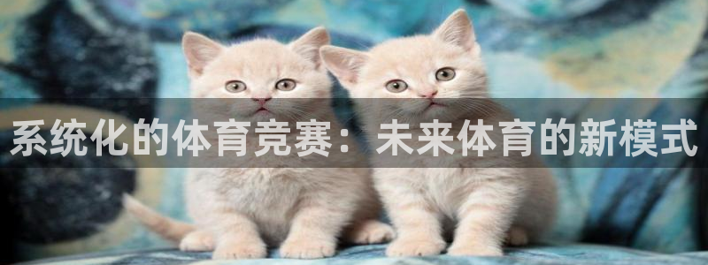 谈球吧