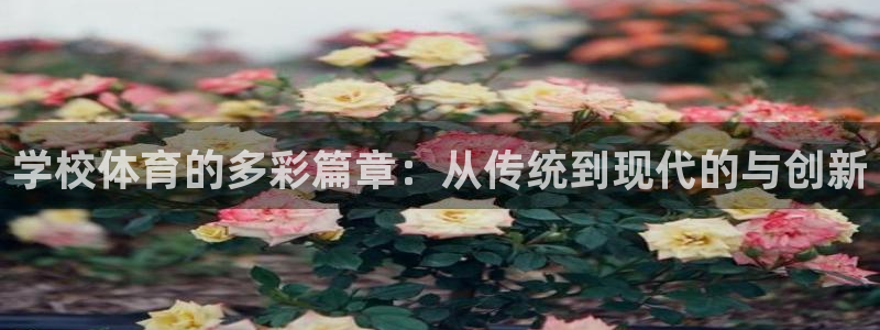 谈球吧