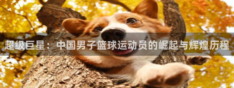 谈球吧体育
