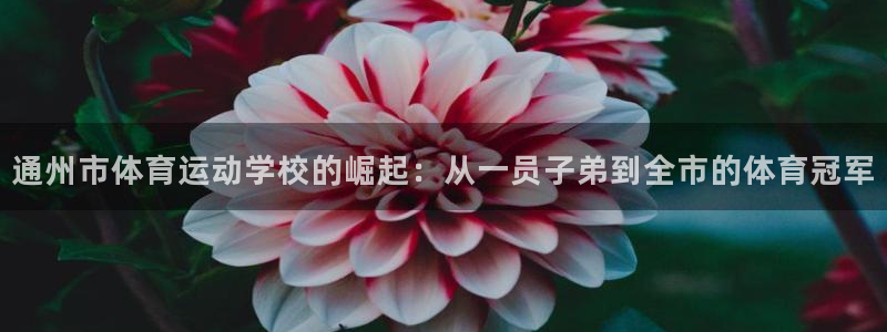 谈球吧体育