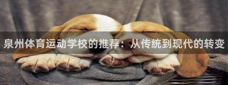 谈球吧体育官网