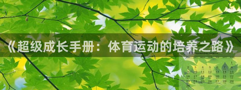 谈球吧体育官网