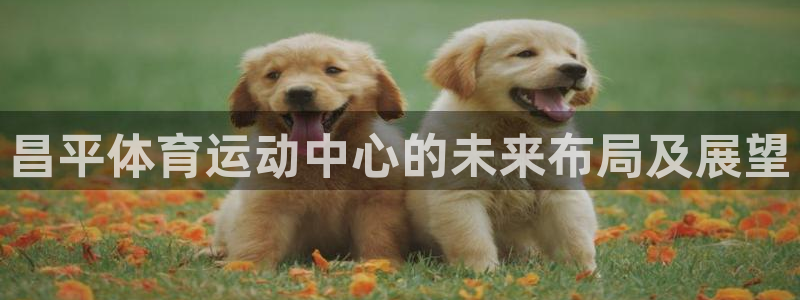 谈球吧