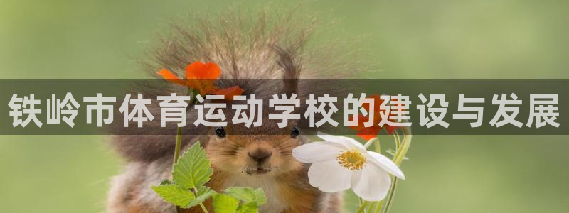 谈球吧