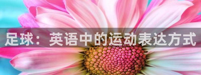 谈球吧体育
