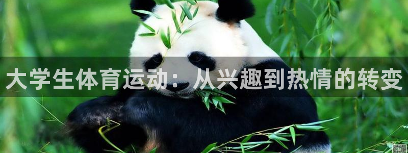 谈球吧体育