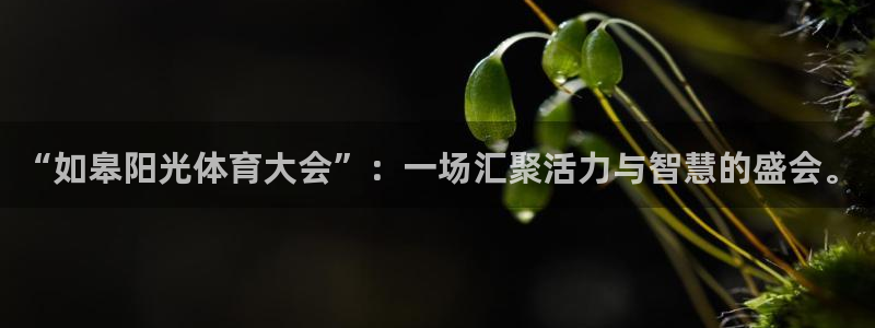 谈球吧体育官网