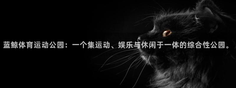 谈球吧体育官网